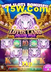 Casino Ao Vivo 1Xkp